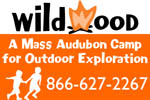 Wildwood